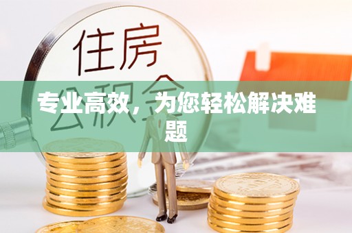 崇礼专业高效，为您轻松解决难题